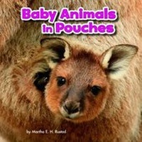Enlarge image Cover: Baby Animals in Pouches - Raintree