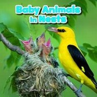 Enlarge image Cover: Baby Animals in Nests - Raintree