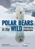 Cover: Polar Bears In The Wild - Amherst Media