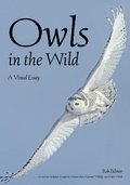 Cover: Owls In The Wild - Amherst Media