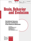 Bild: Vertebrate Sensory Systems and Brains: From Genes to Behavior - S. Karger