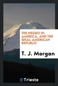 Cover: The Negro in America, and the Ideal American Republic - Trieste Publishing