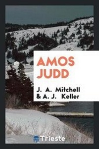Enlarge image Cover: Amos Judd - Trieste Publishing