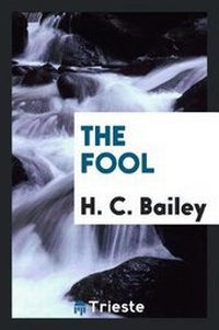 Enlarge image Cover: The Fool - Trieste Publishing