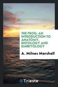Abbildung von: The Frog - Trieste Publishing