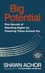 Cover: Big Potential - Virgin Digital