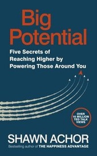 Abbildung von: Big Potential - Virgin Digital