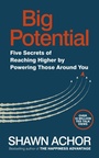 Cover: Big Potential - Virgin Books
