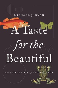 Abbildung von: A Taste for the Beautiful - Princeton University Press