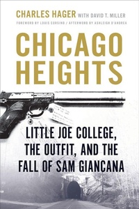 Enlarge image Cover: Chicago Heights - Southern Illinois University Press