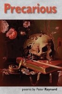 Enlarge image Cover: Precarious - Smokestack Books