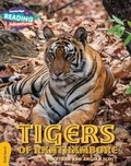 Cover: Cambridge Reading Adventures Tigers of Ranthambore Gold Band - Cambridge University Press