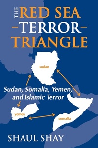 Enlarge image Cover: The Red Sea Terror Triangle - Routledge