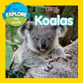 Cover: Explore My World: Koalas - Disney - RHCB