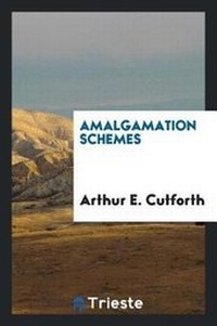 Enlarge image Cover: Amalgamation Schemes - Trieste Publishing