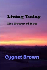 Enlarge image Cover: Living Today, The Power of Now - Lulu.com