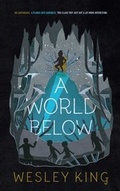 Cover: A World Below - Paula Wiseman Books