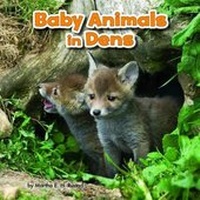 Enlarge image Cover: Baby Animals and Their Homes Pack A of 4 - Raintree