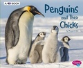 Cover: Penguins and Their Chicks: A 4D Book - Capstone Press