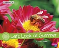 Cover: Let's Look at Summer - Capstone Press