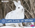 Cover: Let's Look at Winter - Capstone Press