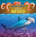 Cover: Gulf of Mexico - Purple Toad Publishing