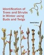 Cover: Identification of Trees and Shrubs in Winter Using Buds and Twigs - Kew Publishing
