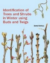 Enlarge image Cover: Identification of Trees and Shrubs in Winter Using Buds and Twigs - Kew Publishing