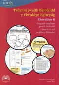 Cover: Taflenni Gwaith Beiblaidd y Flwyddyn Eglwysig: Blwyddyn B - Cyhoeddiadau'r Gair