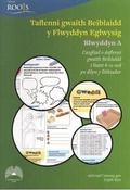 Cover: Taflenni Gwaith Beiblaidd y Flwyddyn Eglwysig: Blwyddyn A - Cyhoeddiadau'r Gair