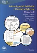 Cover: Taflenni Gwaith Beiblaidd y Flwyddyn Eglwysig: Blwyddyn C - Cyhoeddiadau'r Gair