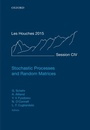 Cover: Stochastic Processes and Random Matrices - OUP eBook