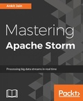 Cover: Mastering Apache Storm - Packt Publishing Limited