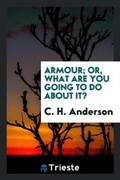 Cover: Armour; Or, What Are You Going to Do about It? - Trieste Publishing