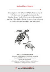 Abbildung von: Investigation into Chelonid Alphaherpesvirus 5 Infection and Fibropapillomatosis in the Pacific Green Turtle (Chelonia mydas agassizii) and the Olive Ridley Turtle (Lepidochelys olivacea) in the Pacific of Costa Rica and Nicaragua - VVB Laufersweiler Verlag