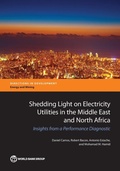 Cover: Shedding Light on Electricity Utilities in the Middle East and North Africa - World Bank Publications