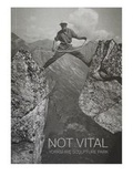 Cover: Not Vital: Yorkshire Sculpture Park Exhibition Guide - Yorkshire Sculpture Park