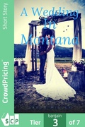Cover: A Wedding In Montana - Scribl