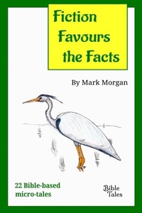 Enlarge image Cover: Fiction Favours the Facts - Distributed By Ingram Spark