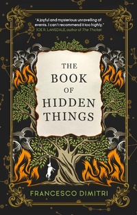 Enlarge image Cover: The Book of Hidden Things - Titan Books