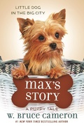 Cover: Max's Story - Odd Dot