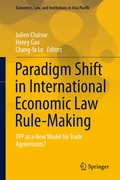 Cover: Paradigm Shift in International Economic Law Rule-Making - Springer