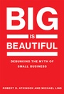 Cover: Big Is Beautiful - MIT Press