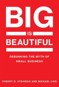 Enlarge image Cover: Big Is Beautiful - MIT Press