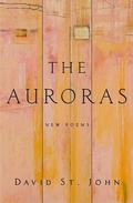 Cover: The Auroras - HarperCollins