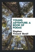 Cover: Young Adventure - Trieste Publishing