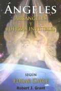 Cover: Angeles, Arcangeles Y Fuerzas Invisibles - Libros Iluminados