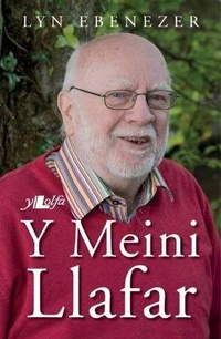 Enlarge image Cover: Meini Llafar, Y - Y Lolfa