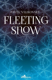 Enlarge image Cover: Fleeting Snow - Istros Books