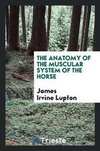 Abbildung von: The Anatomy of the Muscular System of the Horse - Trieste Publishing